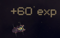 Thumbnail for version as of 13:27, 20 May 2026