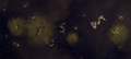 Thumbnail for version as of 13:18, 20 May 2026